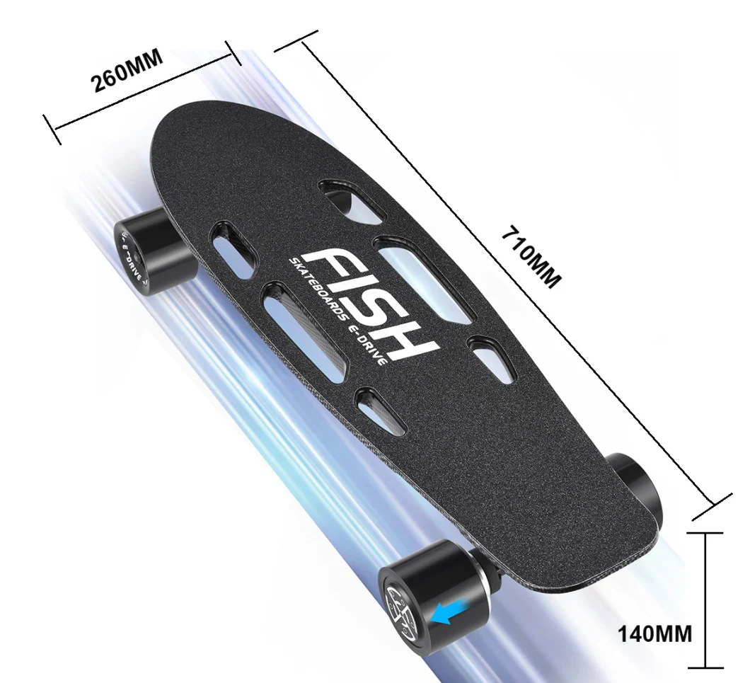 Big Power Fish Electric Skateboard 4 Wheels Waterproof Electric Board