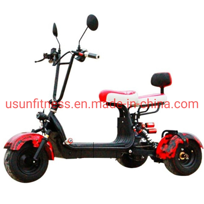 3 Wheels Electric Motorcycles/Tricycle/Trike/Scooter for Kids and Adult