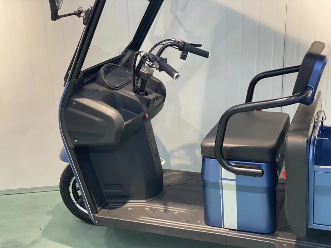 Electric Tricycle Three Wheeler with Roof and Rain Cover