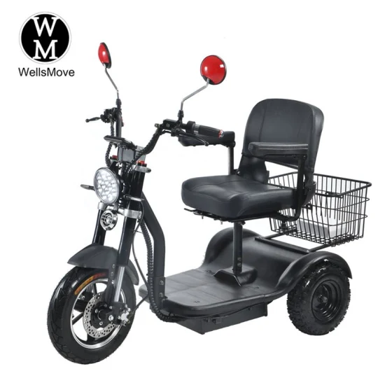 Scooter elettrico differenziale per trike con batteria al litio da 600 W 48 V 20 A per adulti