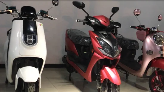 Motore con mozzo da 800 W per scooter elettrico a 2 ruote intelligente ad alta velocità in vendita calda