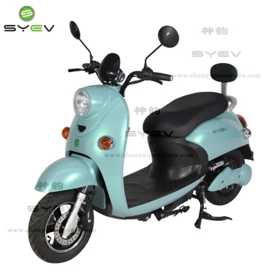 Scooter elettrico intelligente Syev Highway con Fat Tire